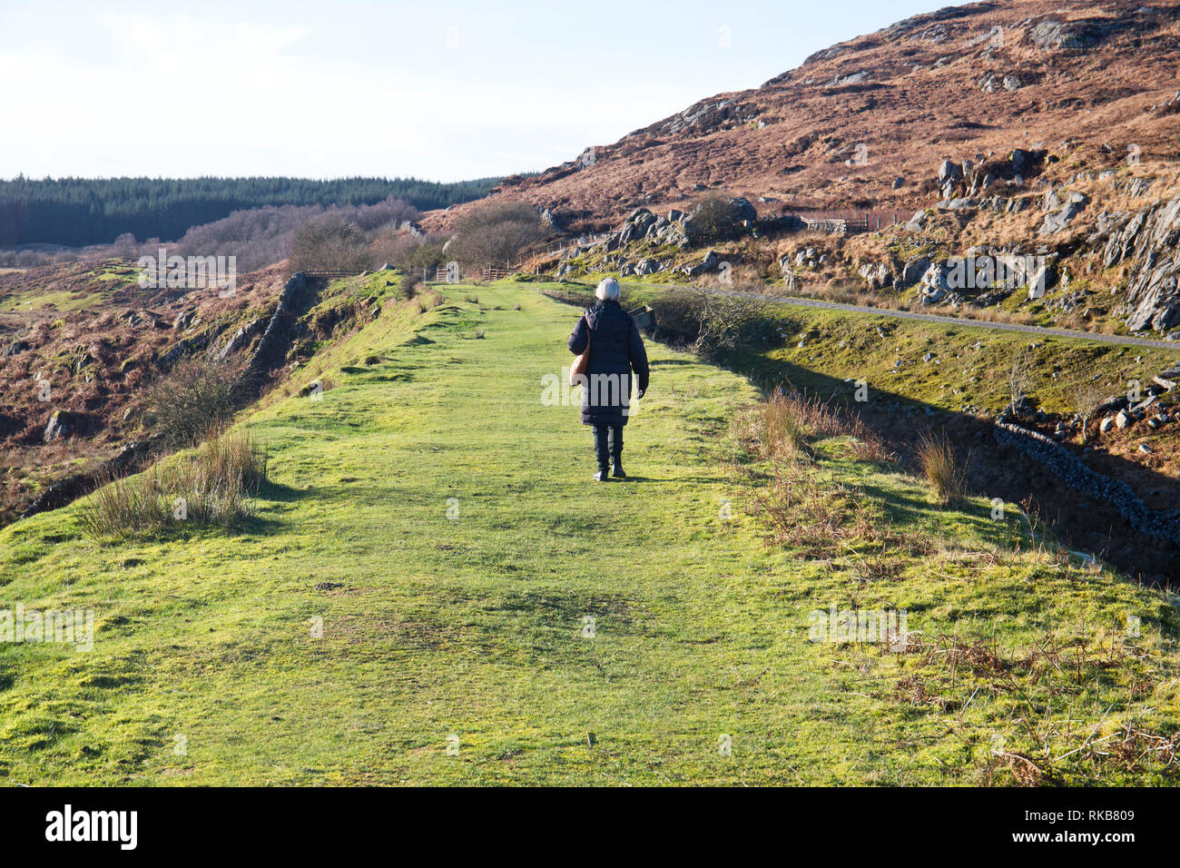 Cairnsmore flotta di riserva naturale nazionale, Dumfries and Galloway, Scozia Foto Stock