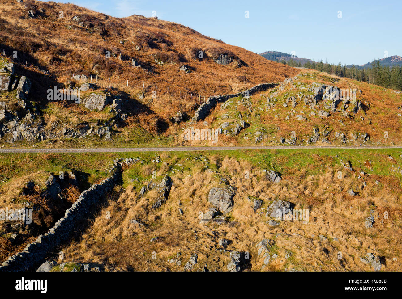 Cairnsmore flotta di riserva naturale nazionale, Dumfries and Galloway, Scozia Foto Stock