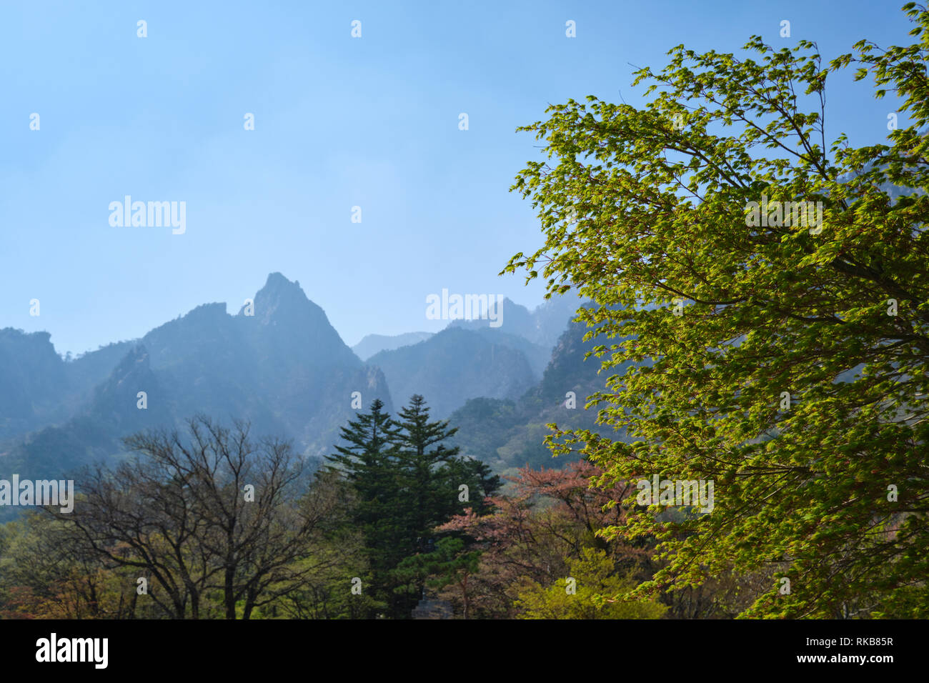 Seoraksan National Park, Corea del Sud Foto Stock