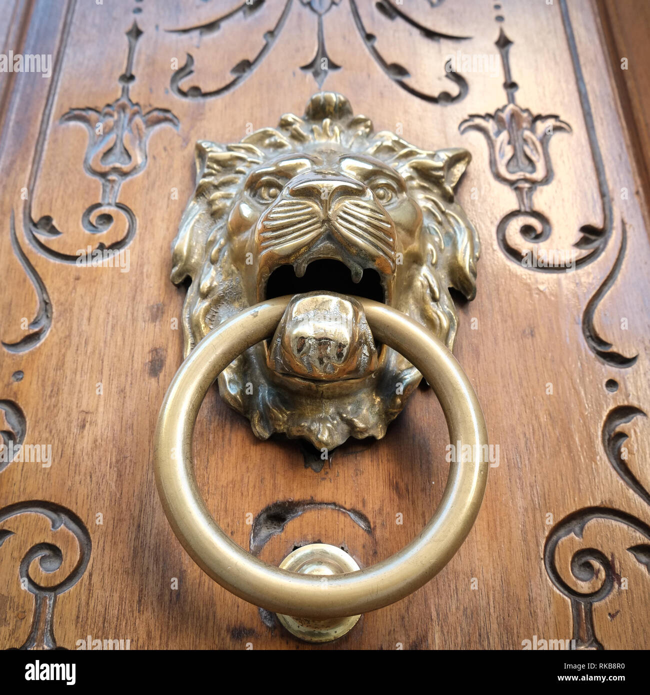 Lion-testa porta in ottone respingente Foto Stock