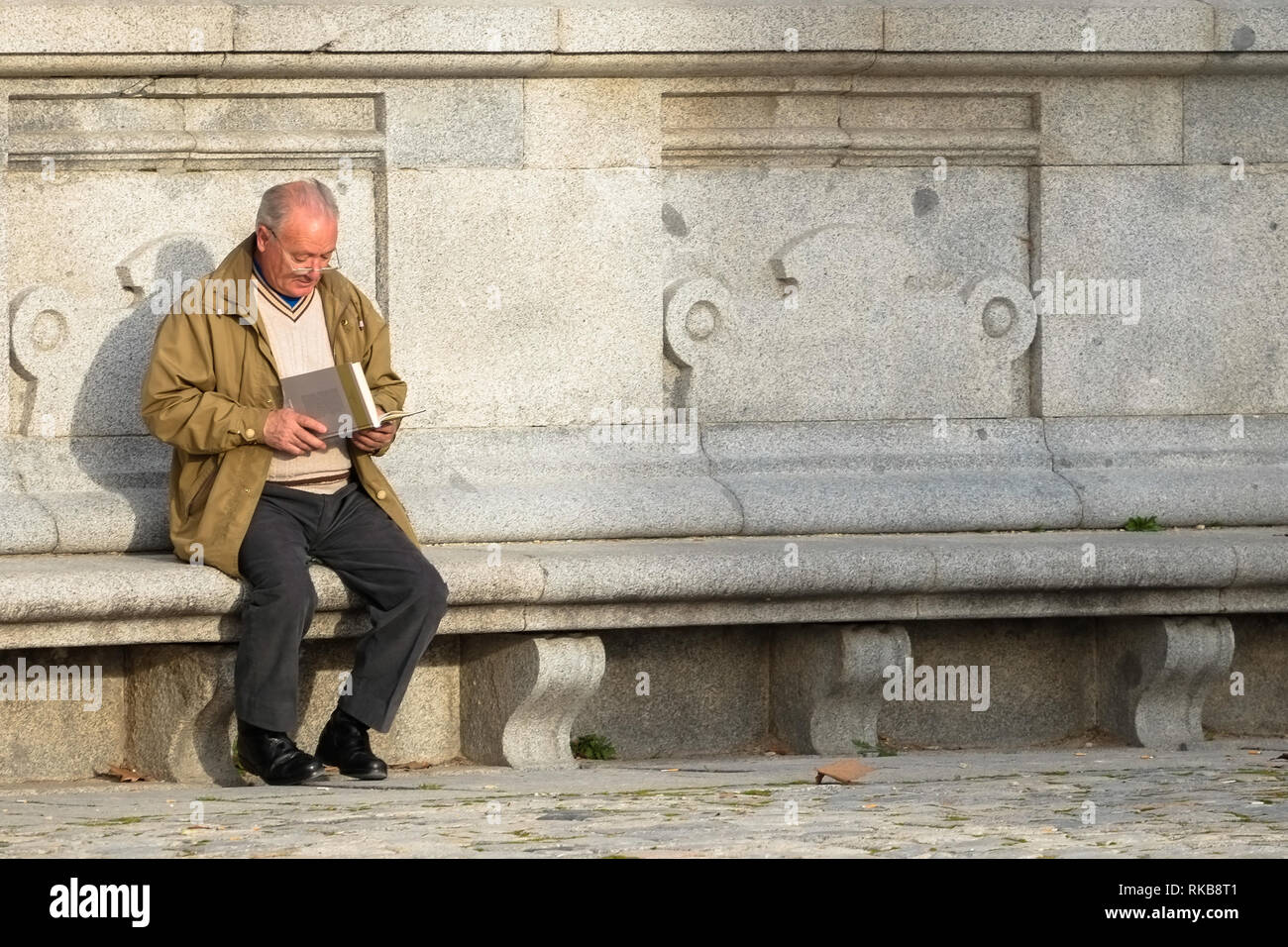 Uomo su una panchina la lettura di un libro Foto Stock