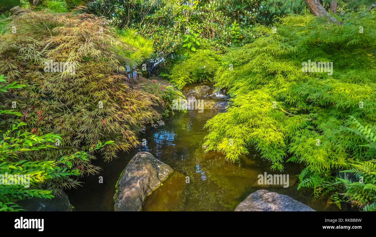 Splendido giardino giapponese architettura vicino Kyoto Foto Stock