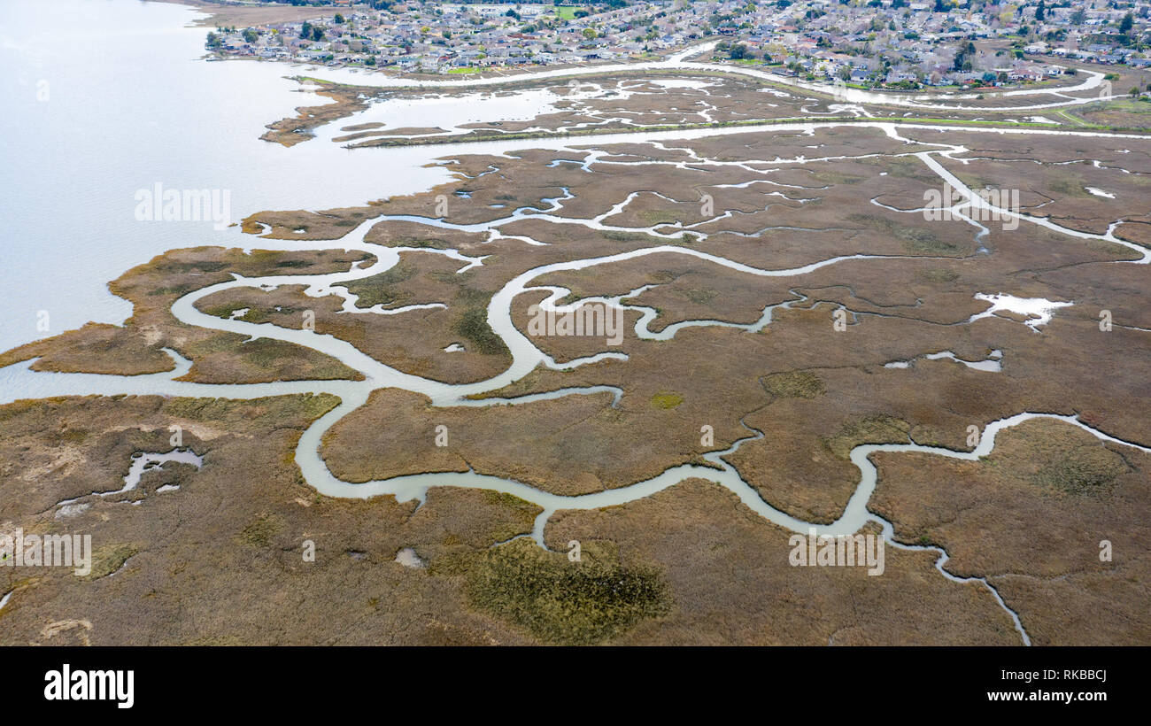 Corte Madera Marsh membro Marine Park, Corte Madera, Marine County, CA, Stati Uniti d'America Foto Stock