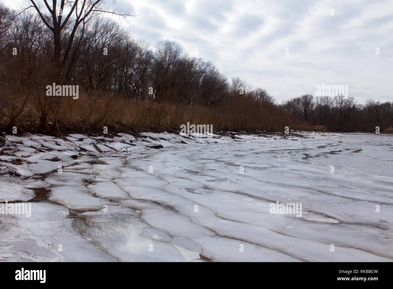 Croydon, Pennsylvania / STATI UNITI D'America - 6 Febbraio 2019: Vista di Jack's Marina il ripristino delle zone umide alla confluenza del fiume Delaware e Neshaminy Creek. Foto Stock
