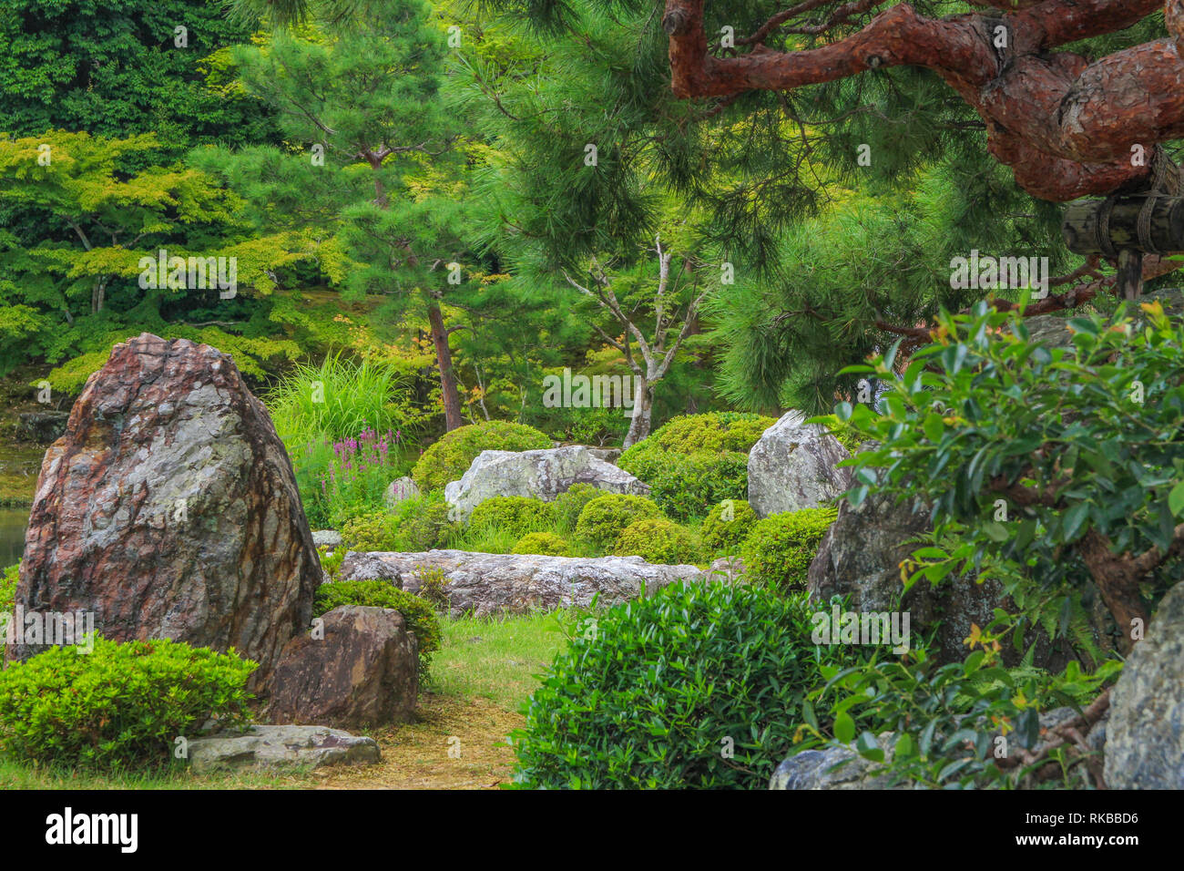 Splendido giardino giapponese architettura al Kinkaku-ji gardens, Kyoto Foto Stock
