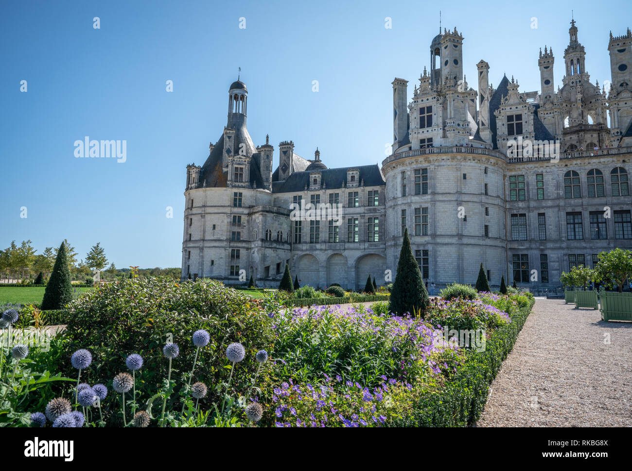 Vista parziale di Chateau de Chambord e giardini con cielo blu sulla giornata di sole. Foto Stock