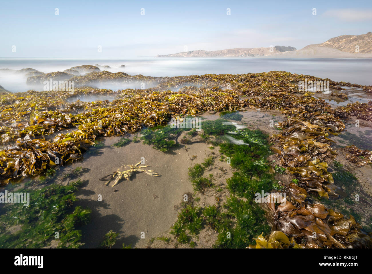 Incredibile Las Brisas beach un timore reverenziale mare paesaggio in un ambiente selvaggio in Cile. Un granchio underwater cercando di catturare il sole riflesso di acqua Foto Stock