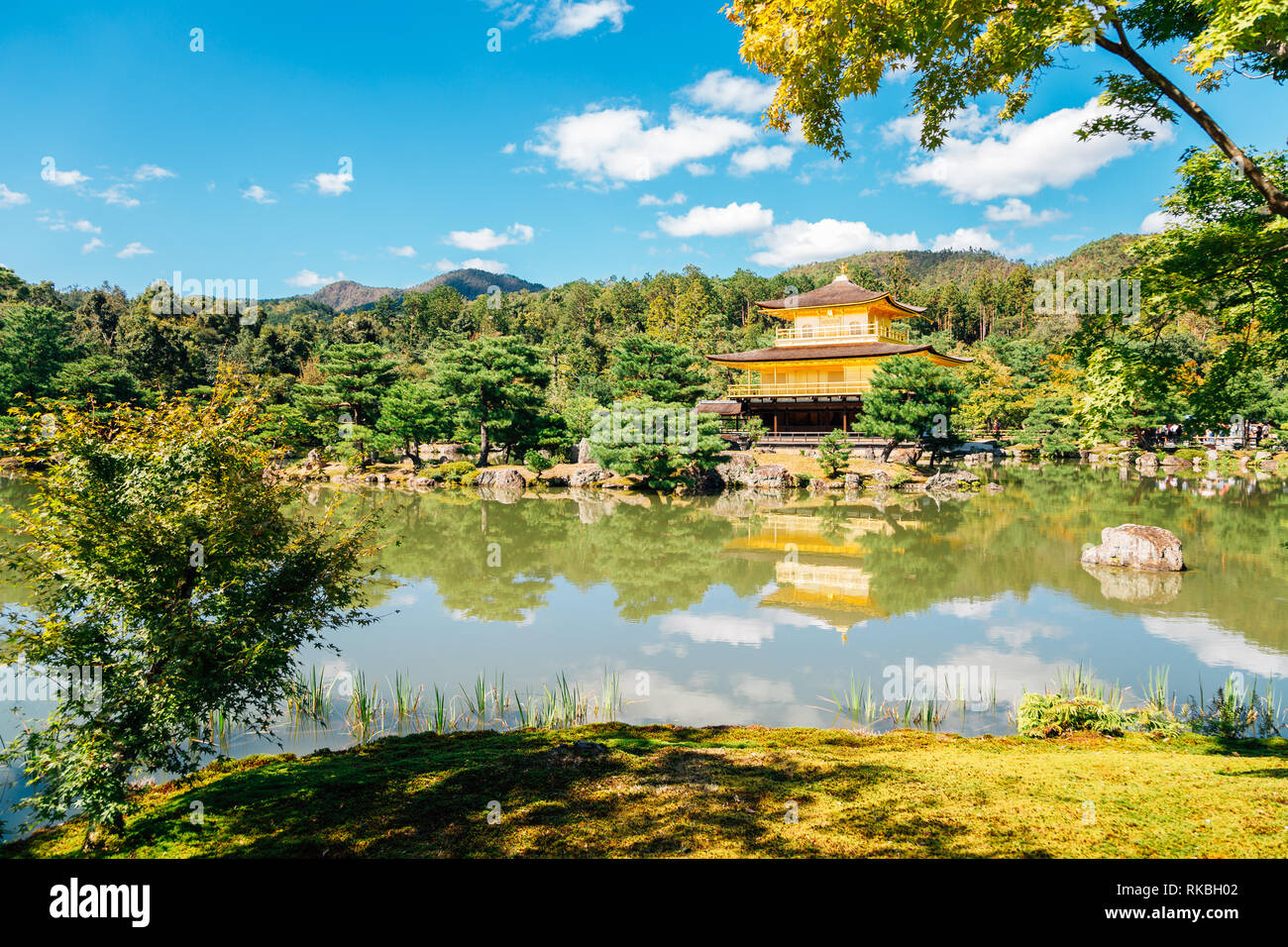 Kinkaku-ji, il padiglione dorato a Kyoto, Giappone Foto Stock
