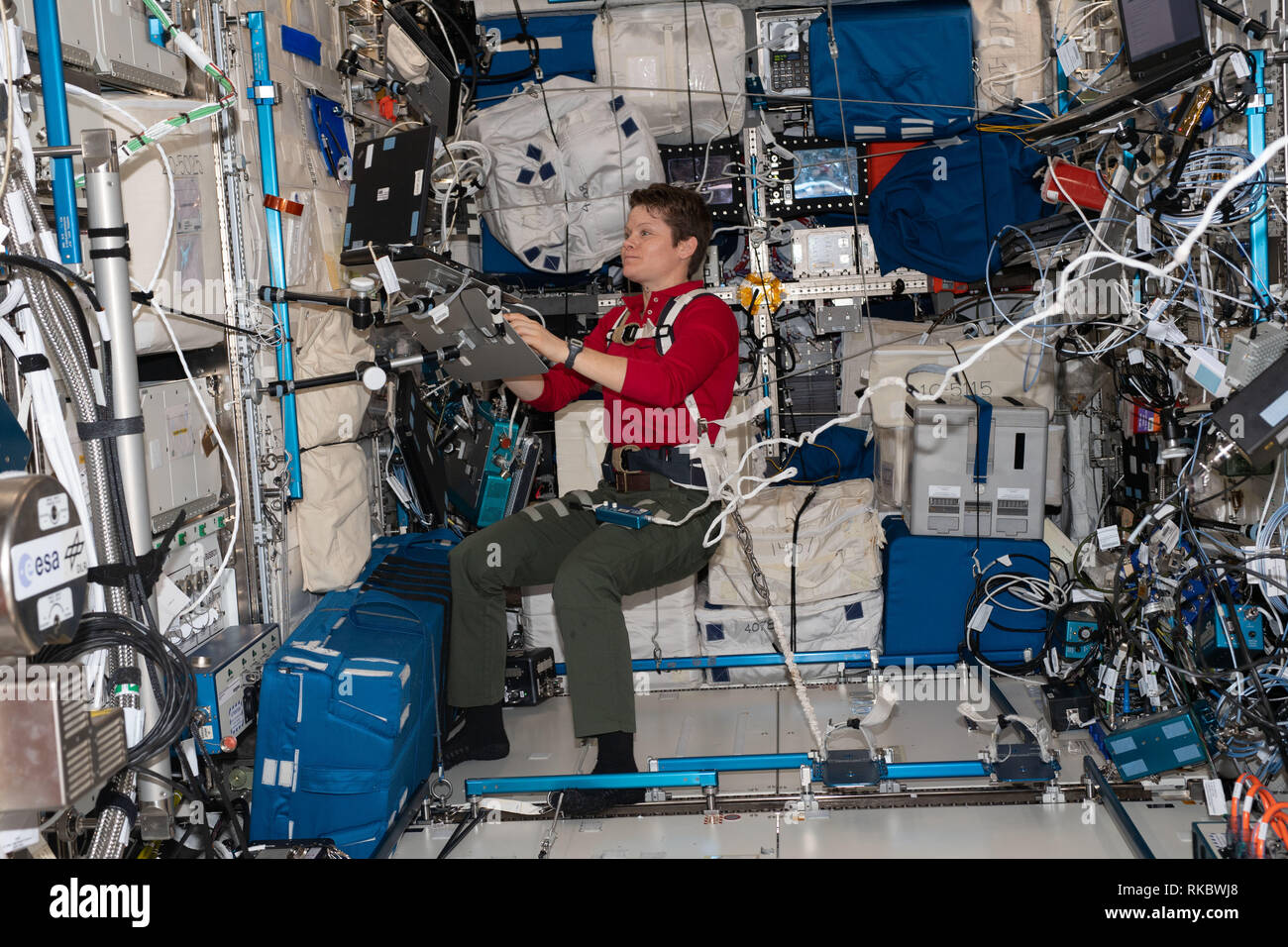 L'astronauta della NASA Anne McClain sorge all'interno del laboratorio europeo Columbus module che partecipano al NeuroMapping esperimento a bordo della Stazione Spaziale Internazionale il 4 gennaio 2019 in orbita intorno alla terra. McClain sta prendendo parte a una lunga esperienza che gli studi se di lunga durata del volo spaziale fa sì che eventuali modifiche al cervello, inclusi cervello struttura e funzione di controllo del motore e il multi-tasking e abilità. Foto Stock
