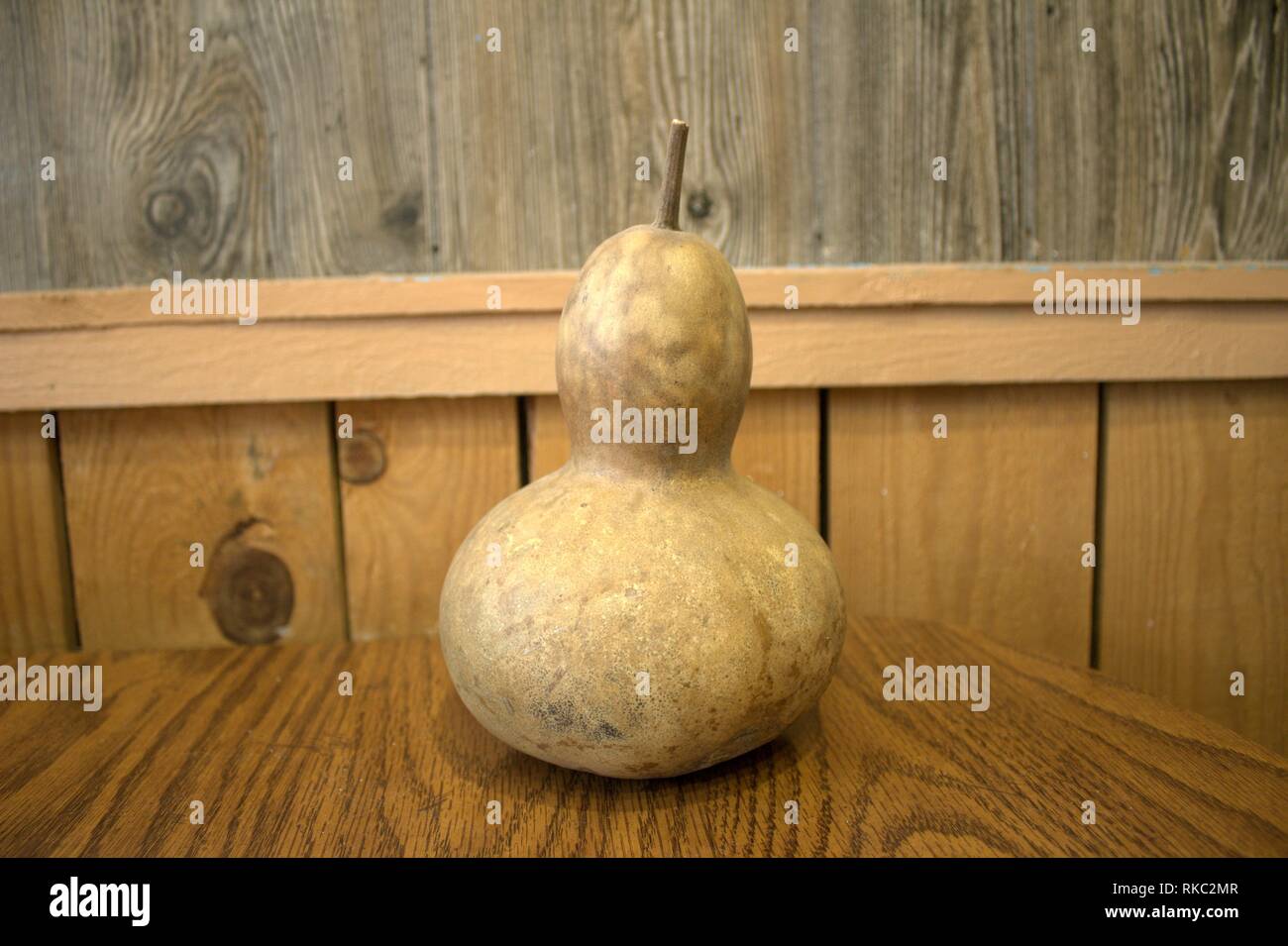 Un secco Birdhouse Gourd, pronti per il taglio aperto Foto Stock