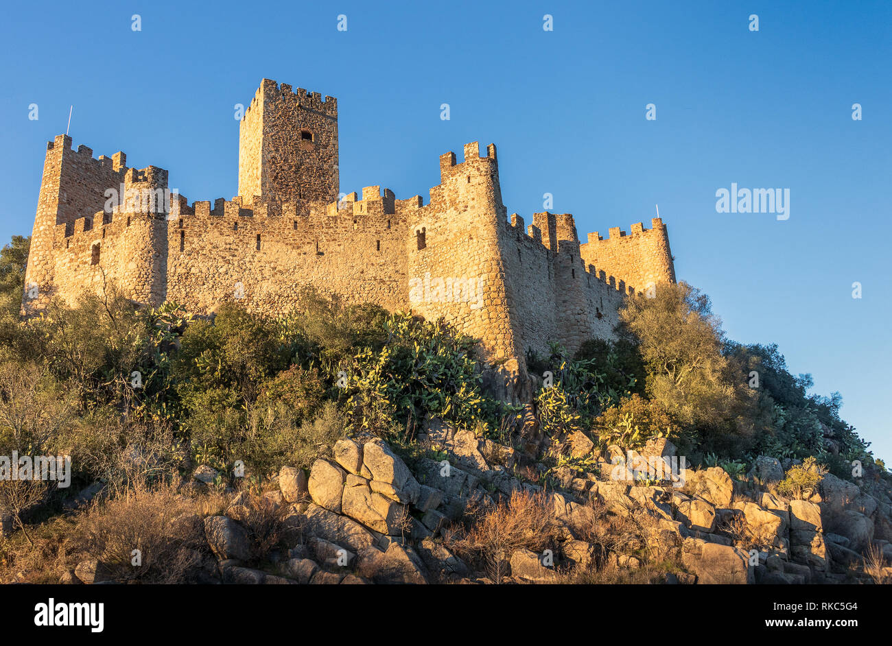 Almourol, Portogallo - 12 Gennaio 2019: del XII secolo il castello di Almourol illuminata dal sole del tardo pomeriggio con il blu del cielo. Foto Stock