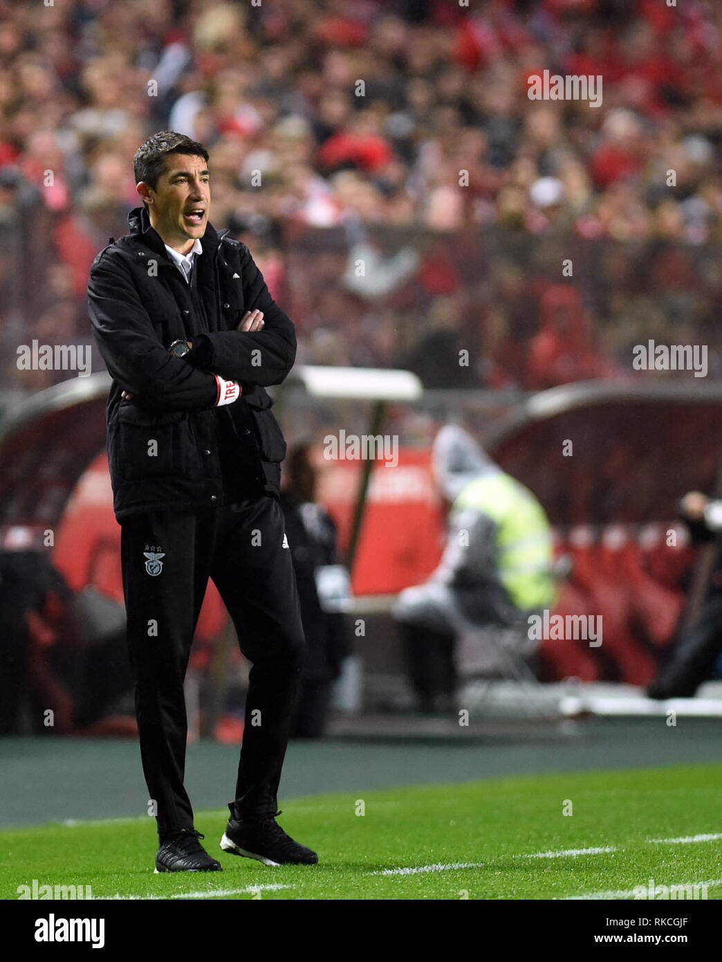 Lisbona, Portogallo. 10 Febbraio, 2019. Head Coach Bruno Nascimento di Benfica reagisce durante il portoghese League Soccer match tra SL Benfica e CD Nacional a Luz stadium a Lisbona, Portogallo, nel febbraio 10, 2019. Il Benfica vince 10-0. Credito: Zhang Liyun/Xinhua/Alamy Live News Foto Stock