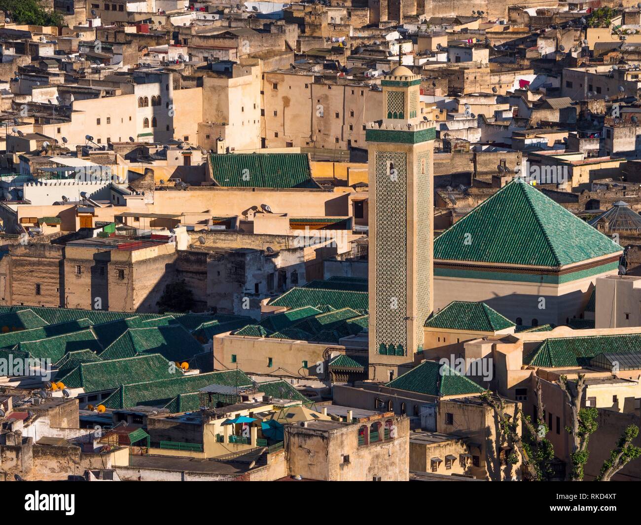 Il Marocco, Fes, il ''Medina'' (parte Vecchia) di Fes, dal Merinides. ''Zaouia Moulay Idriss'' con il suo tetto piramidale. Foto Stock