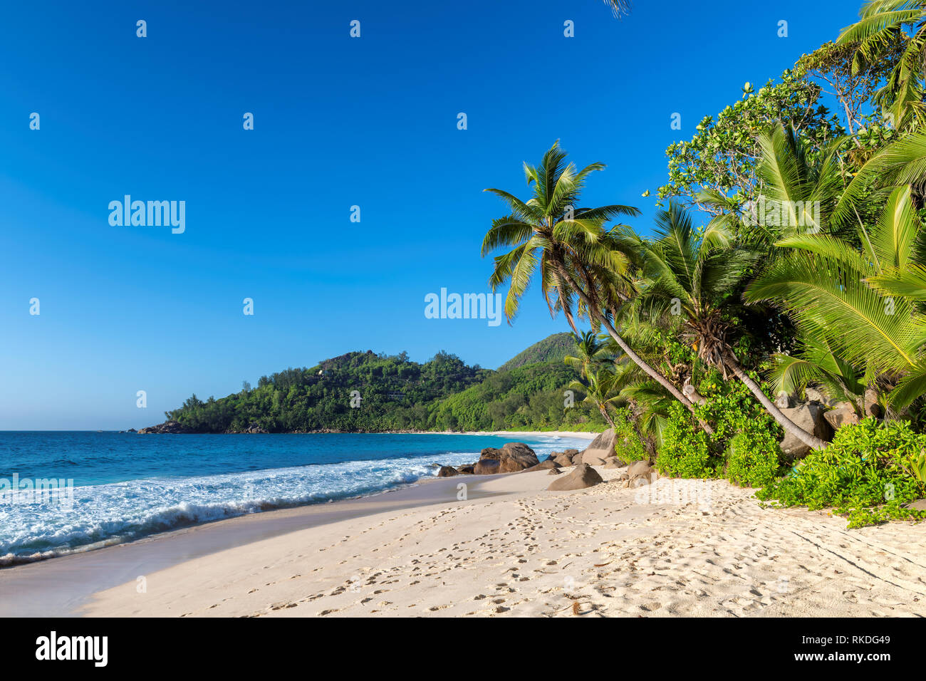 Esotica spiaggia tropicale con sabbia bianca e palme intorno Foto Stock