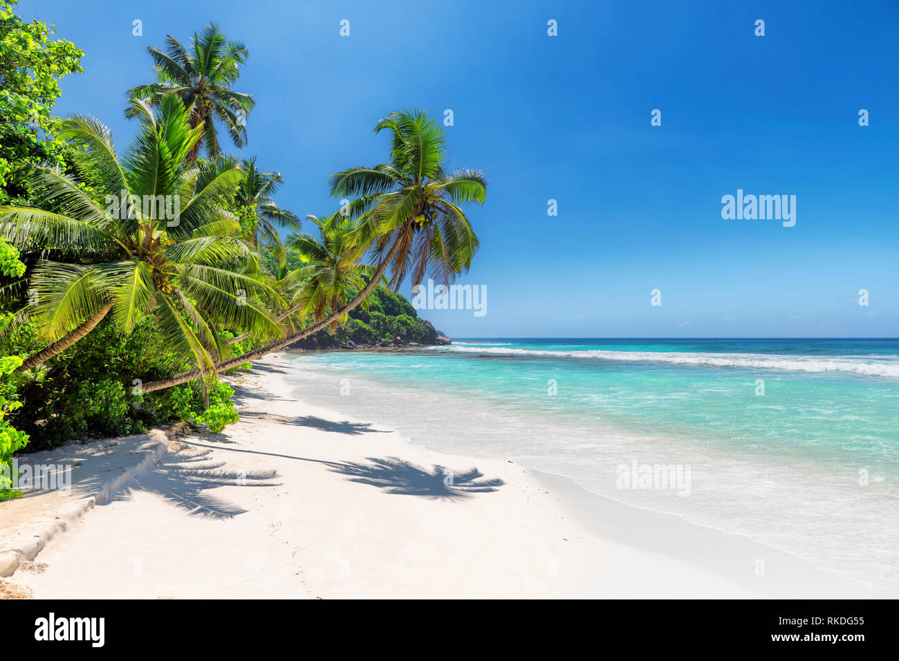 Esotica spiaggia tropicale con sabbia bianca e palme intorno a. Foto Stock