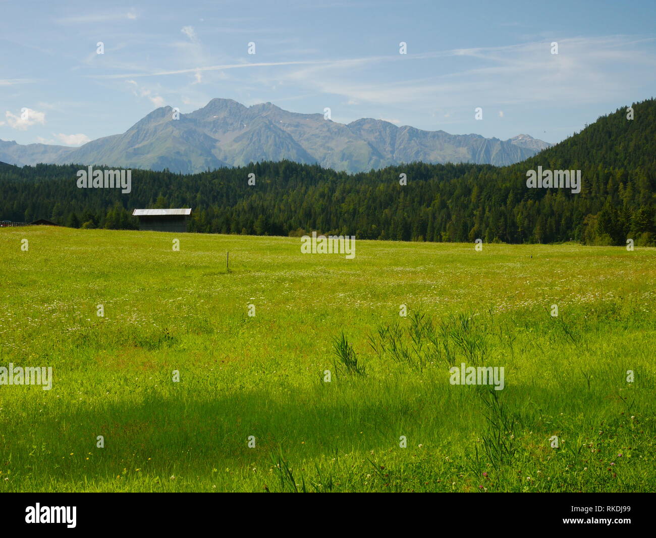 Prato alpino, capanna, foreste e montagne del Tirolo, Austria Foto Stock