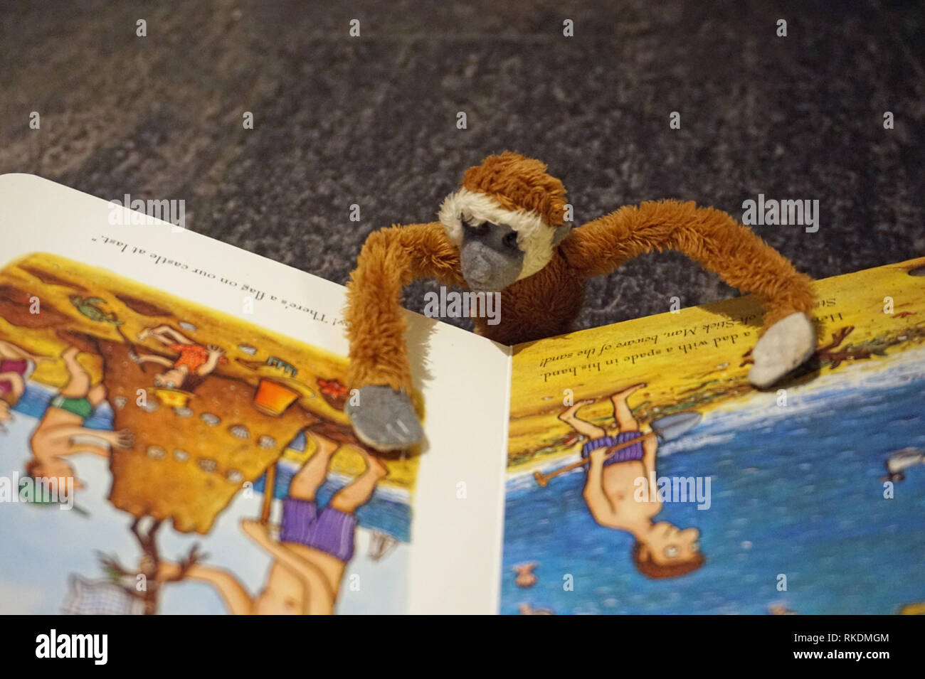Giocattolo scimmia morbida la lettura di un libro per bambini Foto Stock