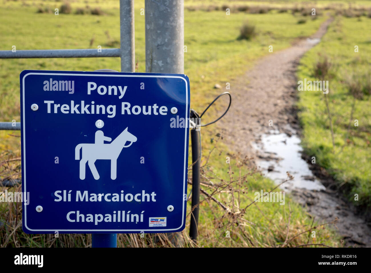 Percorso di trekking con pony bilingue cartello informativo in inglese e gaelico irlandese nel Parco Nazionale di Killarney, County Kerry, Irlanda Foto Stock