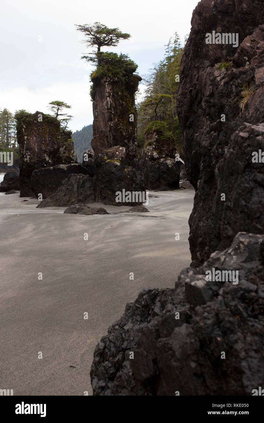 Cape Scott Provincial Park, l'isola di Vancouver, British Columbia, Canada Foto Stock