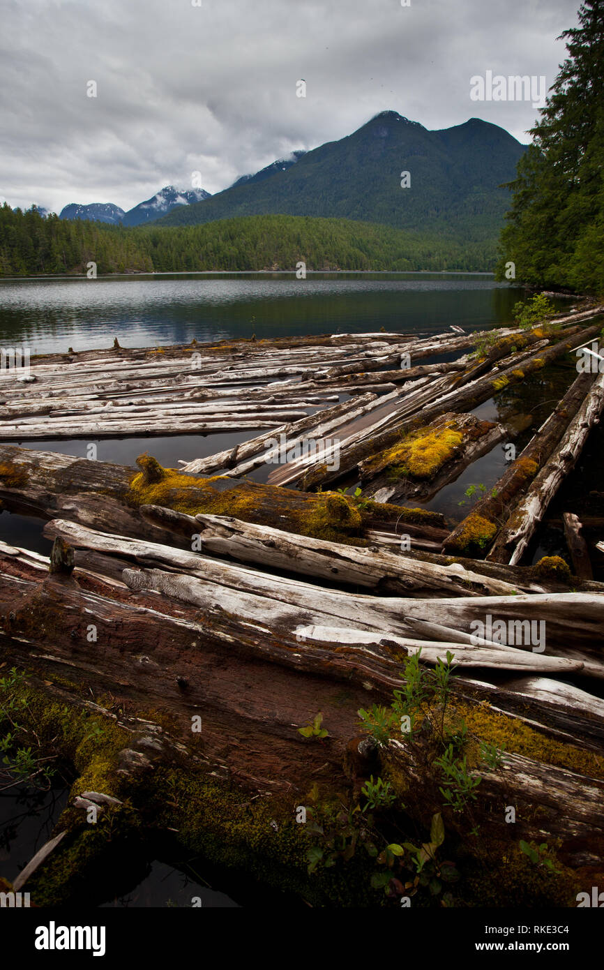 Unwin Lago, desolazione Suono, British Columbia, Canada Foto Stock