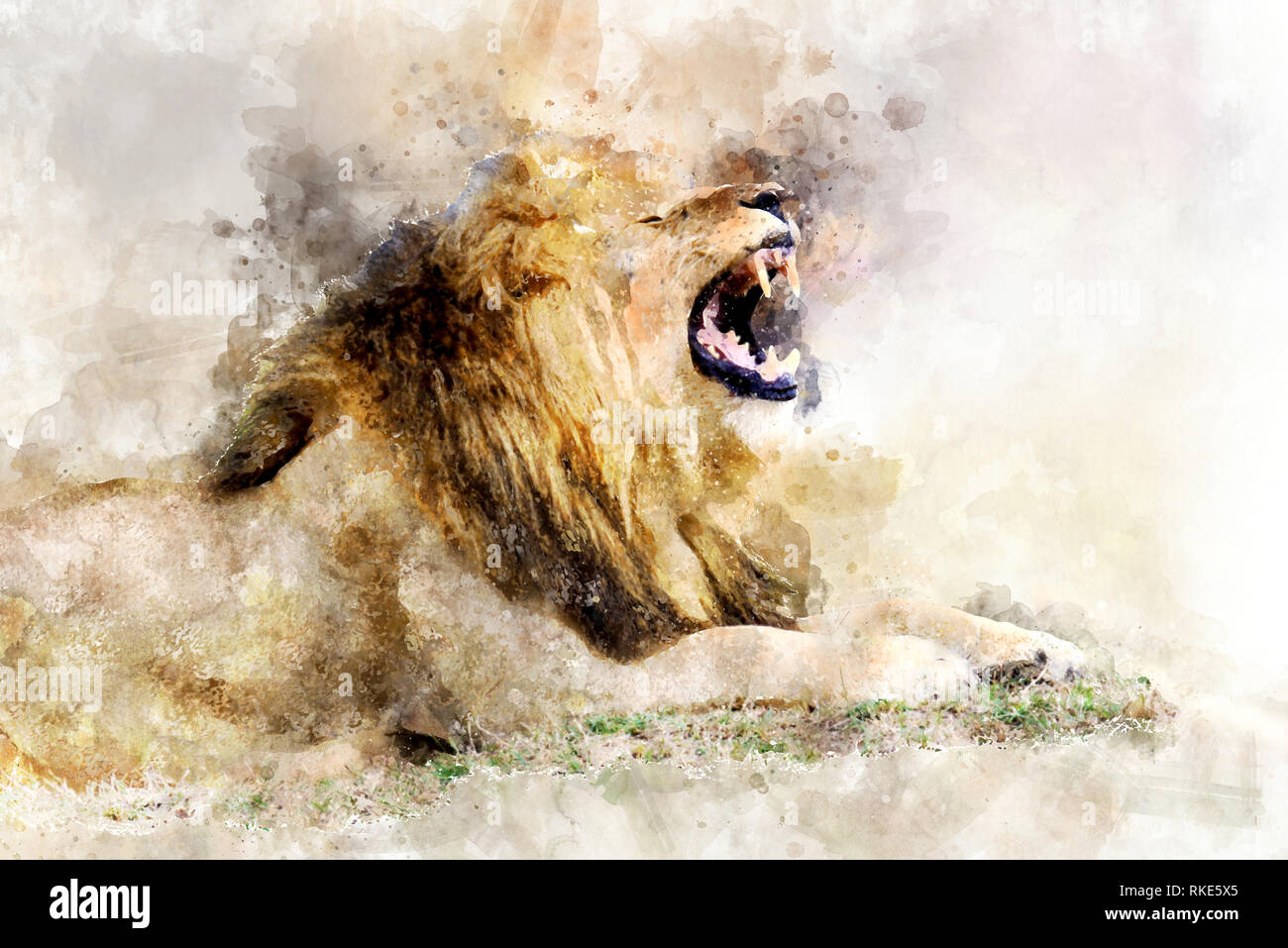 Illustrazione ad acquerello ritratto di Lion. Bella wildlife world Foto Stock