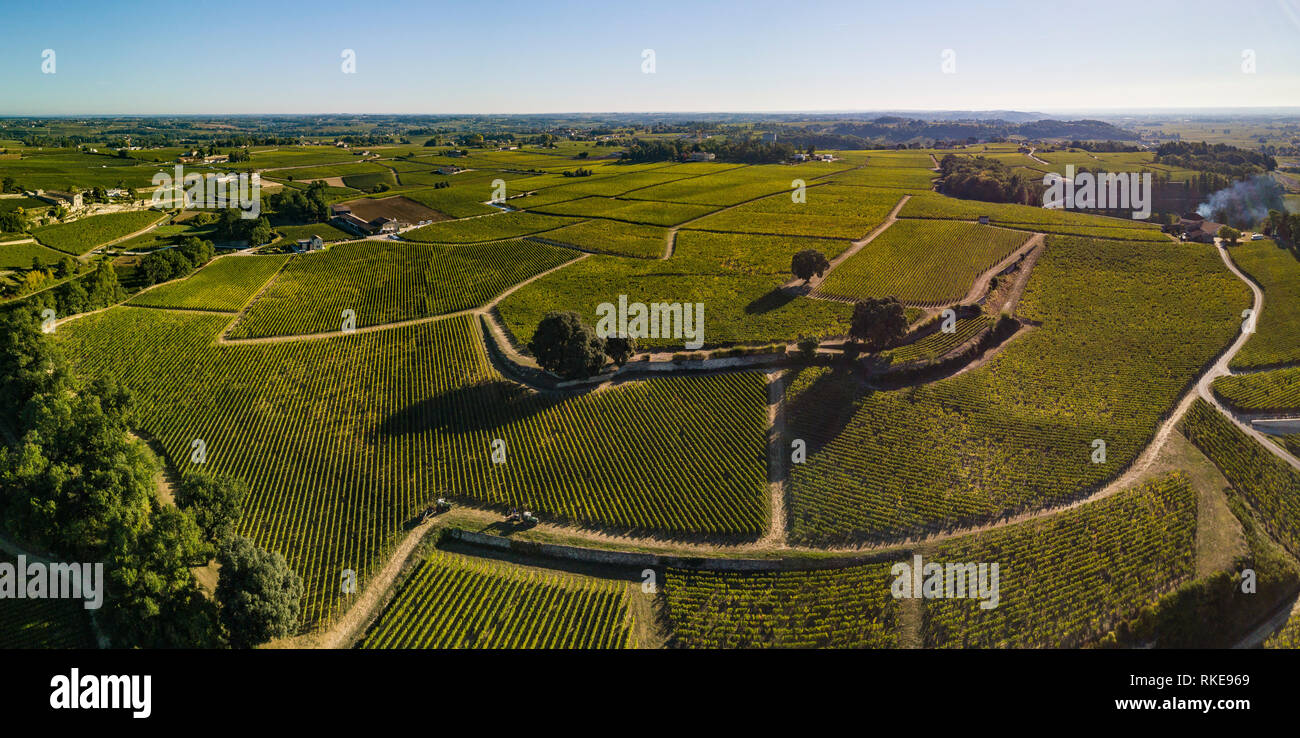 Vista aerea vigneti di Bordeaux, Saint-Emilion, Aquitaine area della Gironde department, Francia, Europa Foto Stock