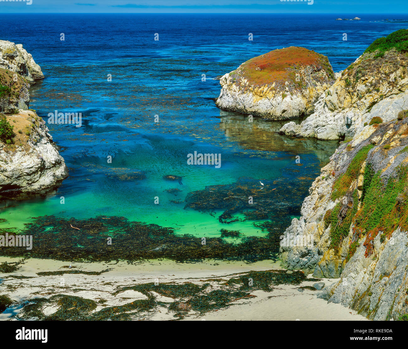 Cina Cove, Point Lobos State Reserve, Big Sur, Monterey County, California Foto Stock