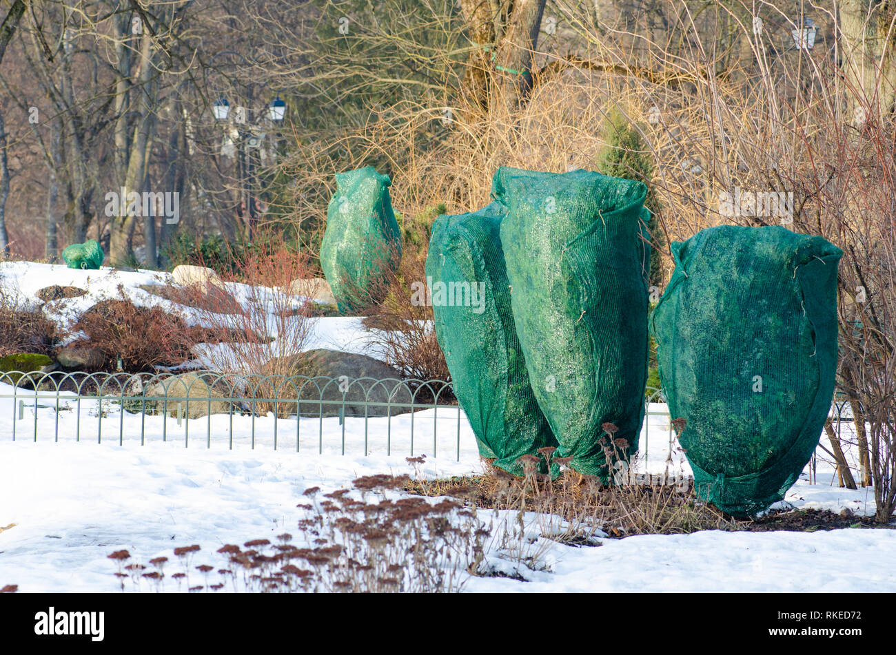 Il disgelo, neve e ghiaccio fuso, sun, luce e ritorno a molla, le piante e gli alberi in un parco coperto con teli di plastica per proteggerli dal gelo Foto Stock