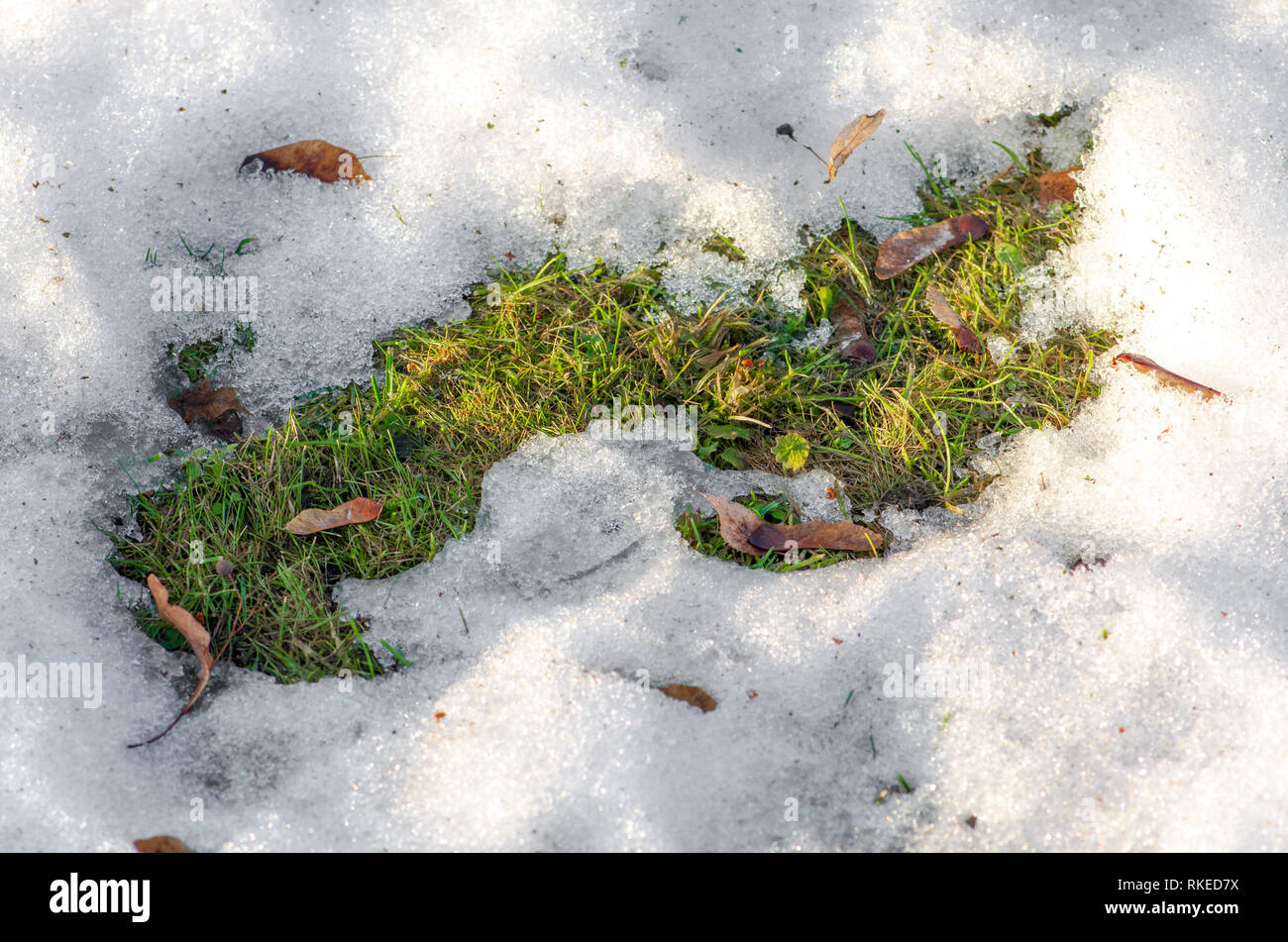 Il disgelo, neve e ghiaccio fuso, sun, luce e ritorno a molla, erba esce, close up Foto Stock