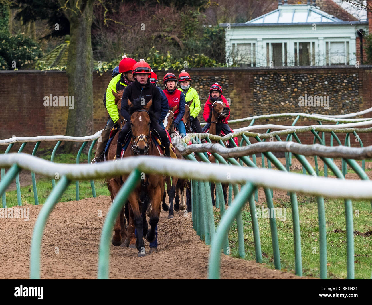 Newmarket, Regno Unito. Xi Febbraio, 2019. Ai cavalli da corsa continuano ad essere hanno esercitato in Newmarket UK a dispetto di 4 nuovi test positivi per influenza equina nel cantiere di Newmarket del trainer piana Simon Crisford. Regno Unito Horsedracing è in attesa almeno fino al mercoledì mentre il British Horseracing Authority continua a prove di cavalli su tutto il territorio nazionale. Credito: Robert Evans/Alamy Live News Foto Stock