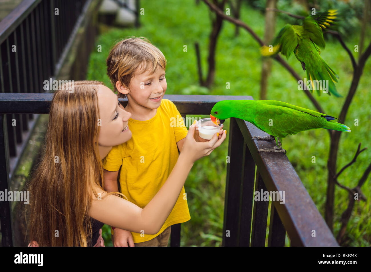 Madre e figlio alimentazione del pappagallo nel parco. Trascorrere il tempo con i bambini del concetto. Foto Stock