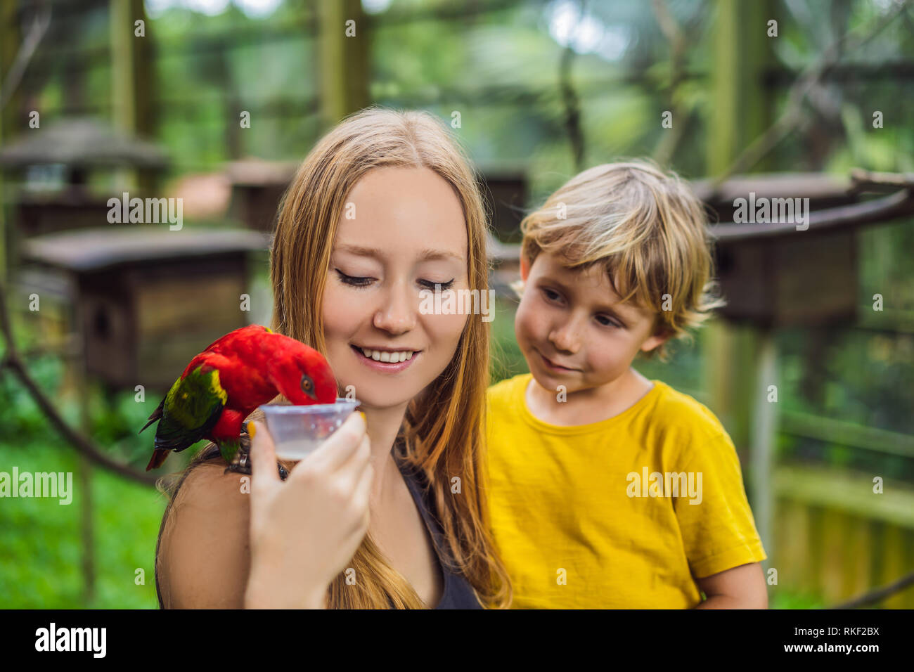 Madre e figlio alimentazione del pappagallo nel parco. Trascorrere il tempo con i bambini del concetto. Foto Stock
