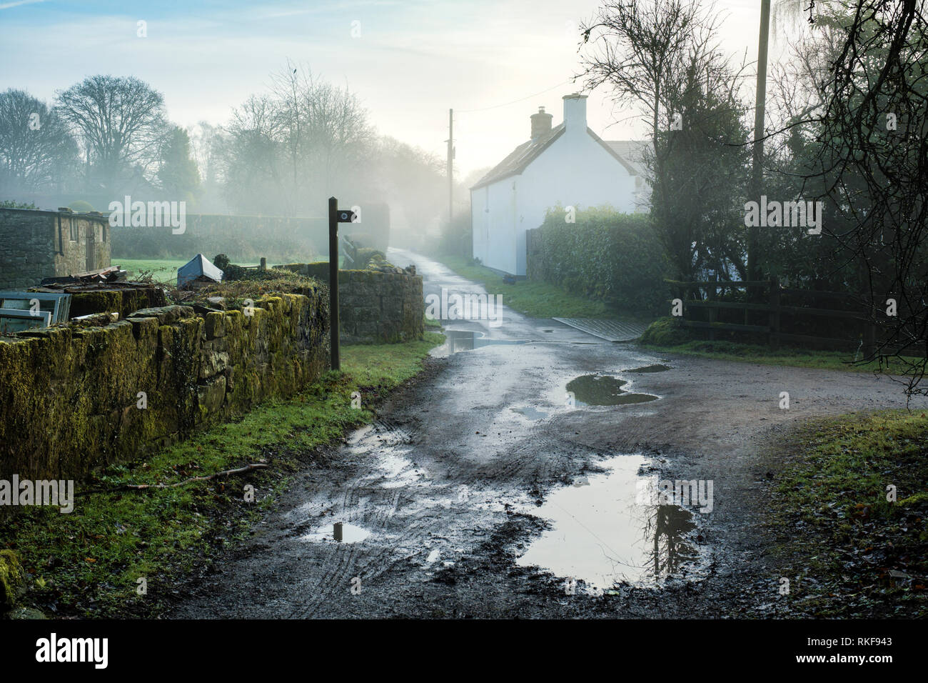 Un dipinto di bianco cottage da una tranquilla strada di campagna nel Galles. Foto Stock