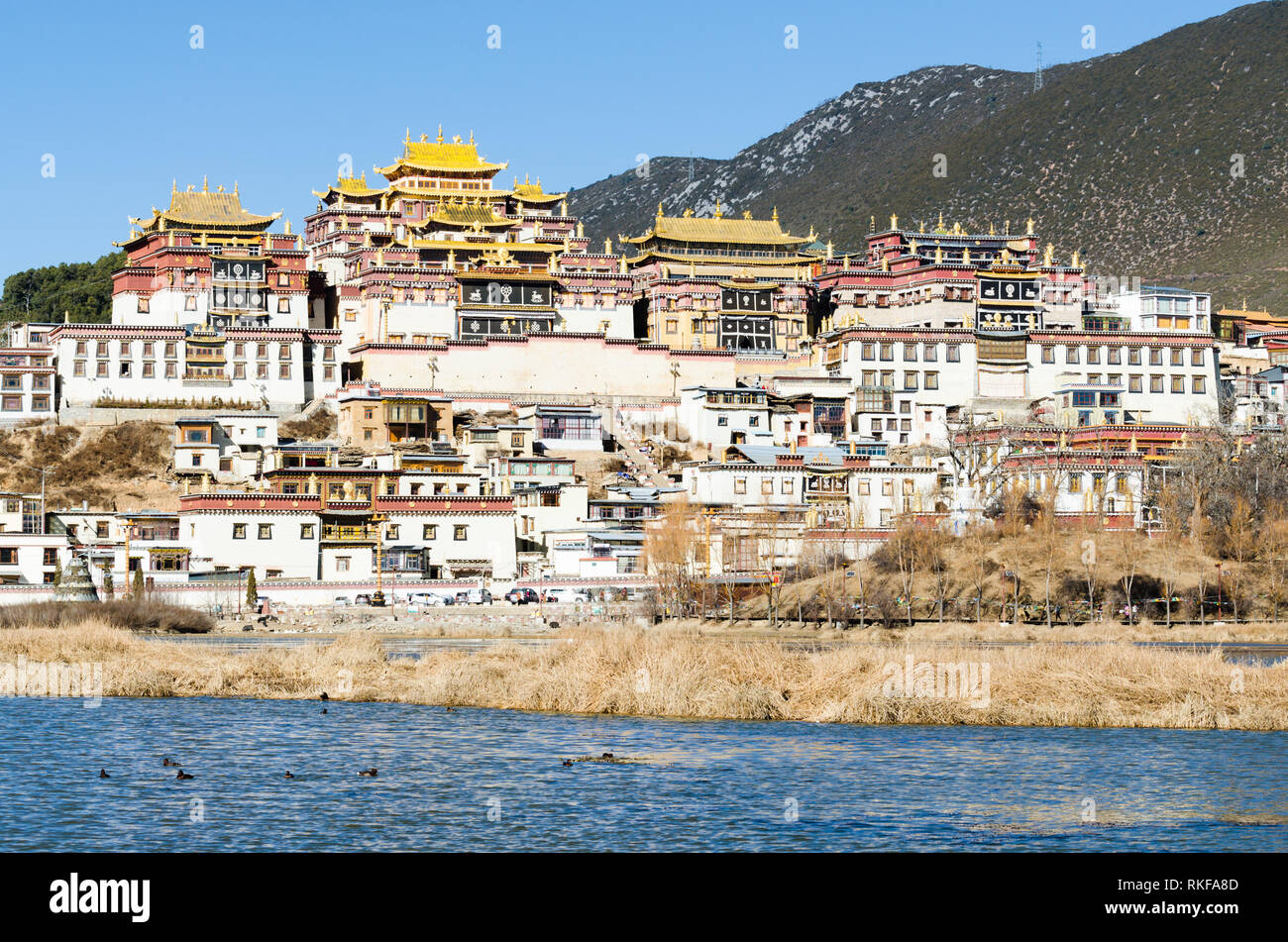 Ganden Sumtseling o monastero Songzanlin, noto anche come piccolo palazzo del Potala, Shangri La, nella provincia dello Yunnan in Cina Foto Stock