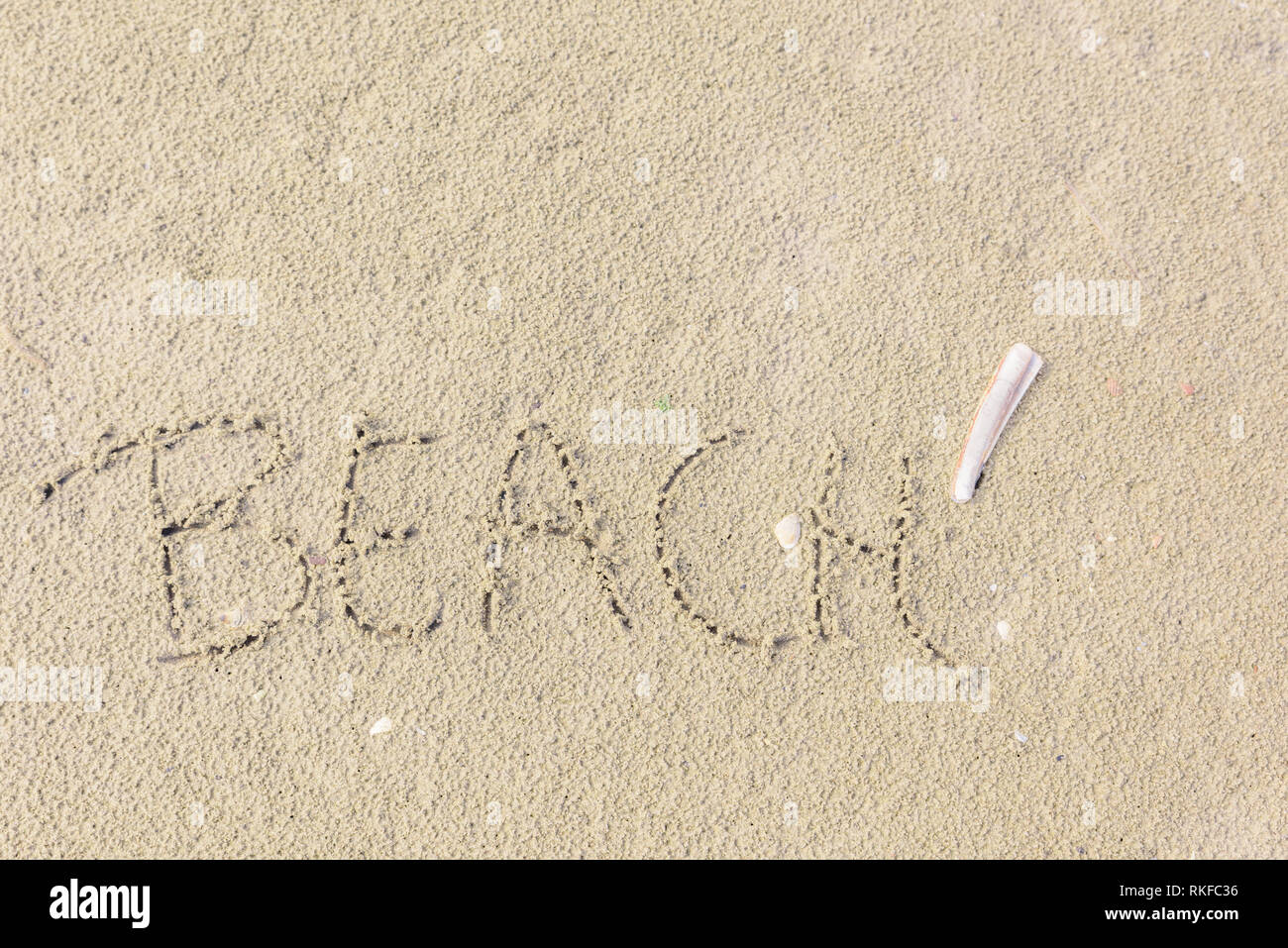 La parola "Beach" è scritto nella sabbia come un concetto di libertà, il relax e la vacanza. Un Cannolicchio curvo (Ensis ensis) giace accanto alla parola nella sabbia Foto Stock