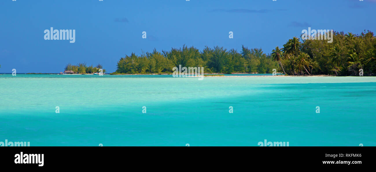Colori di Bora Bora Lagoon, Polinesia Francese Foto Stock