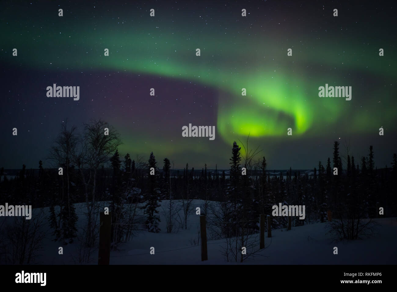 L'Aurora Boreale come visto dal di fuori di Yellowknife, Northwest Territories, Canada. Foto Stock