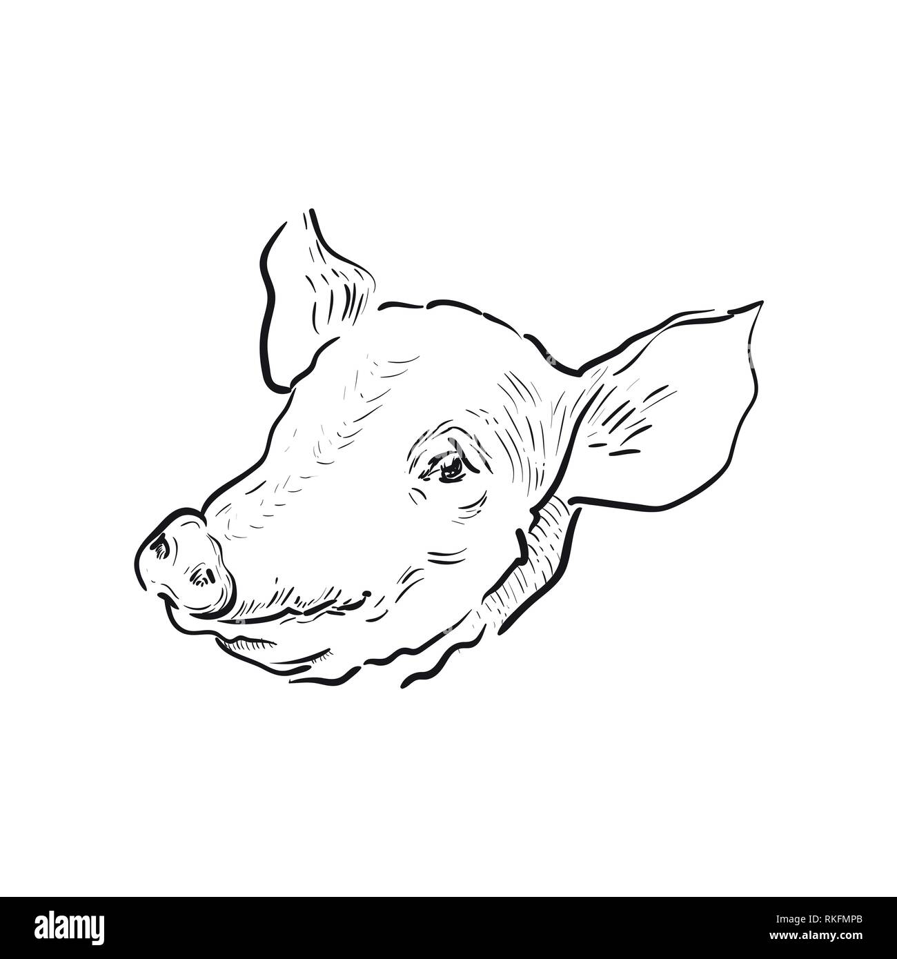 Schizzo icona di maiale. Tema di fattoria. Illustrazione vettoriale EPS 10 Illustrazione Vettoriale