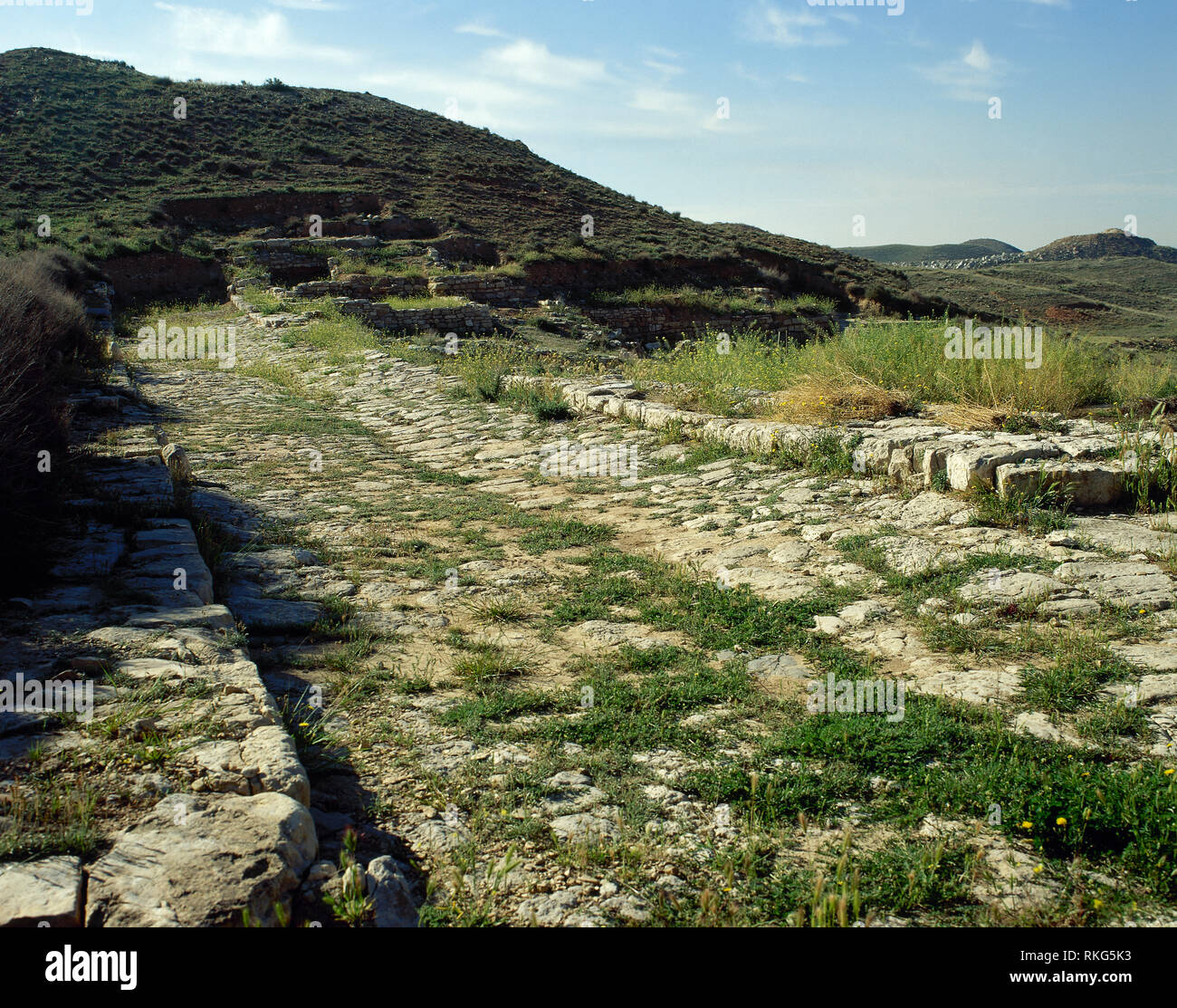 Spagna. Aragona. Celsa. È stato un importante pre-Roman (Illergetes tribù) e la città romana (Colonia Iulia Victrix Celsa). Vista della strada asfaltata. Vicino a Velilla de Ebro, provincia di Saragozza. Foto Stock