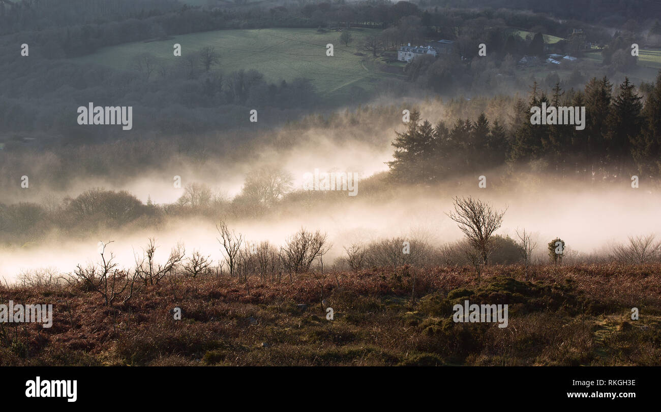 La nebbia che sorge fuori del Dart Valley vicino a Buckland Beacon Dartmoor Devon Regno Unito Foto Stock