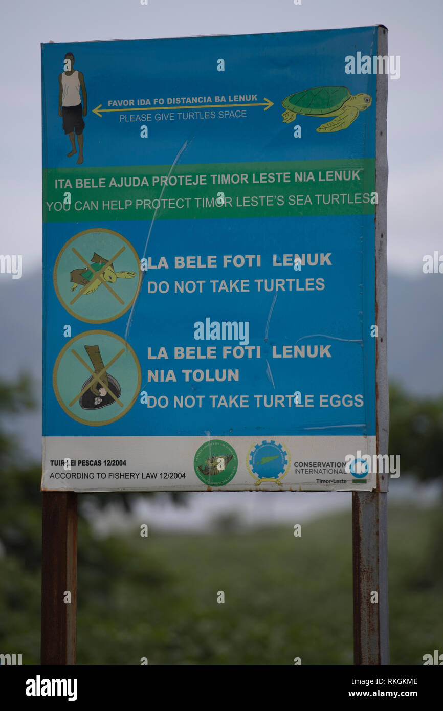 Poster per proteggere tartarughe e uova di tartaruga sulla spiaggia, Dili, Timor Est Foto Stock
