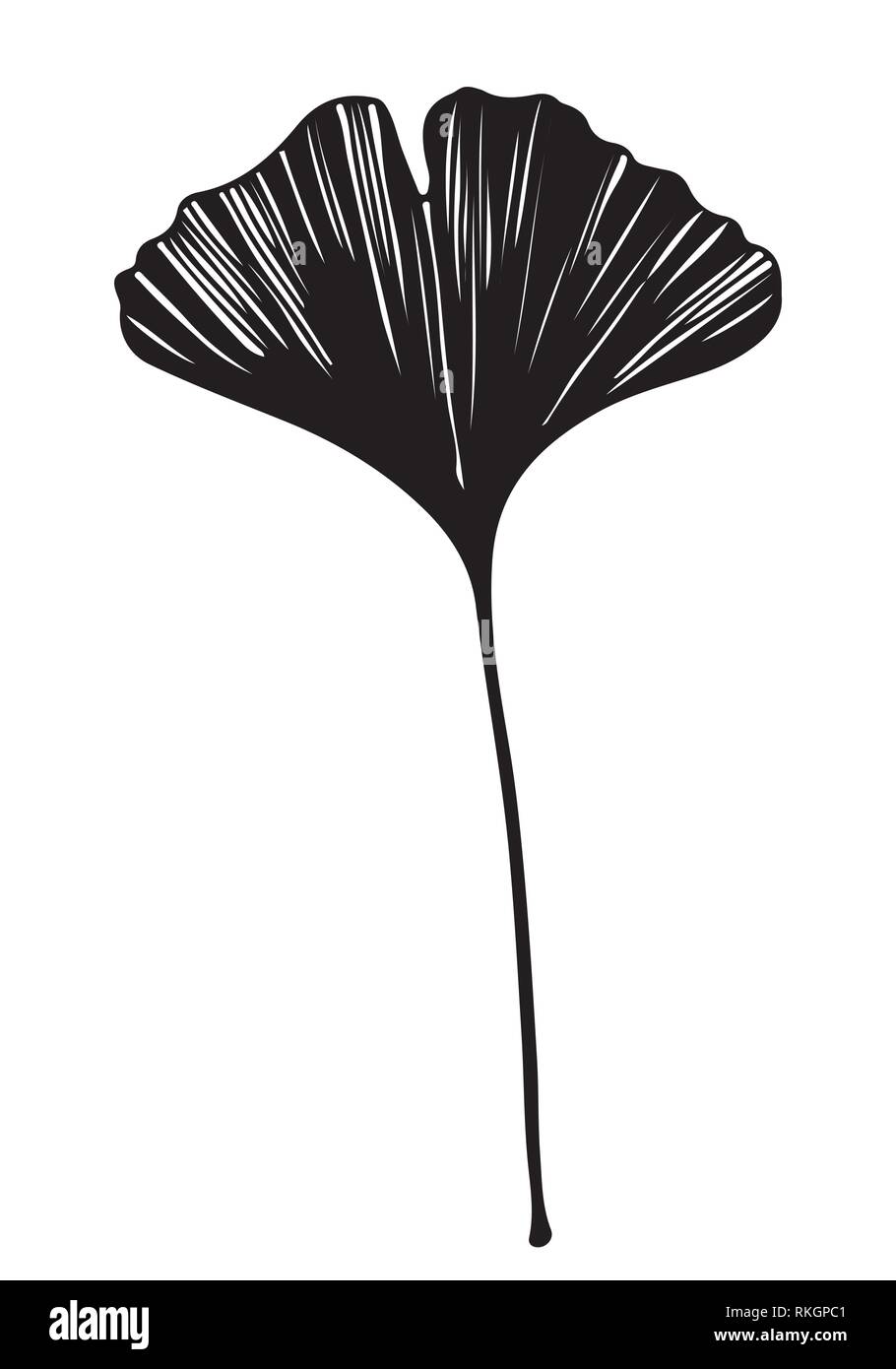 Il Ginkgo biloba vettore foglia nero su sfondo bianco Illustrazione Vettoriale