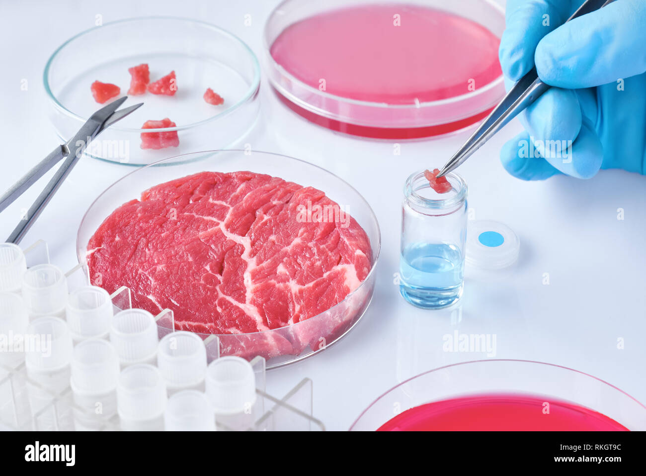 Campione di carne in aperto in plastica usa e getta la coltura cellulare piatto nel moderno laboratorio o stabilimento di produzione. Concetto di pulire la carne coltivate in vitro da un Foto Stock