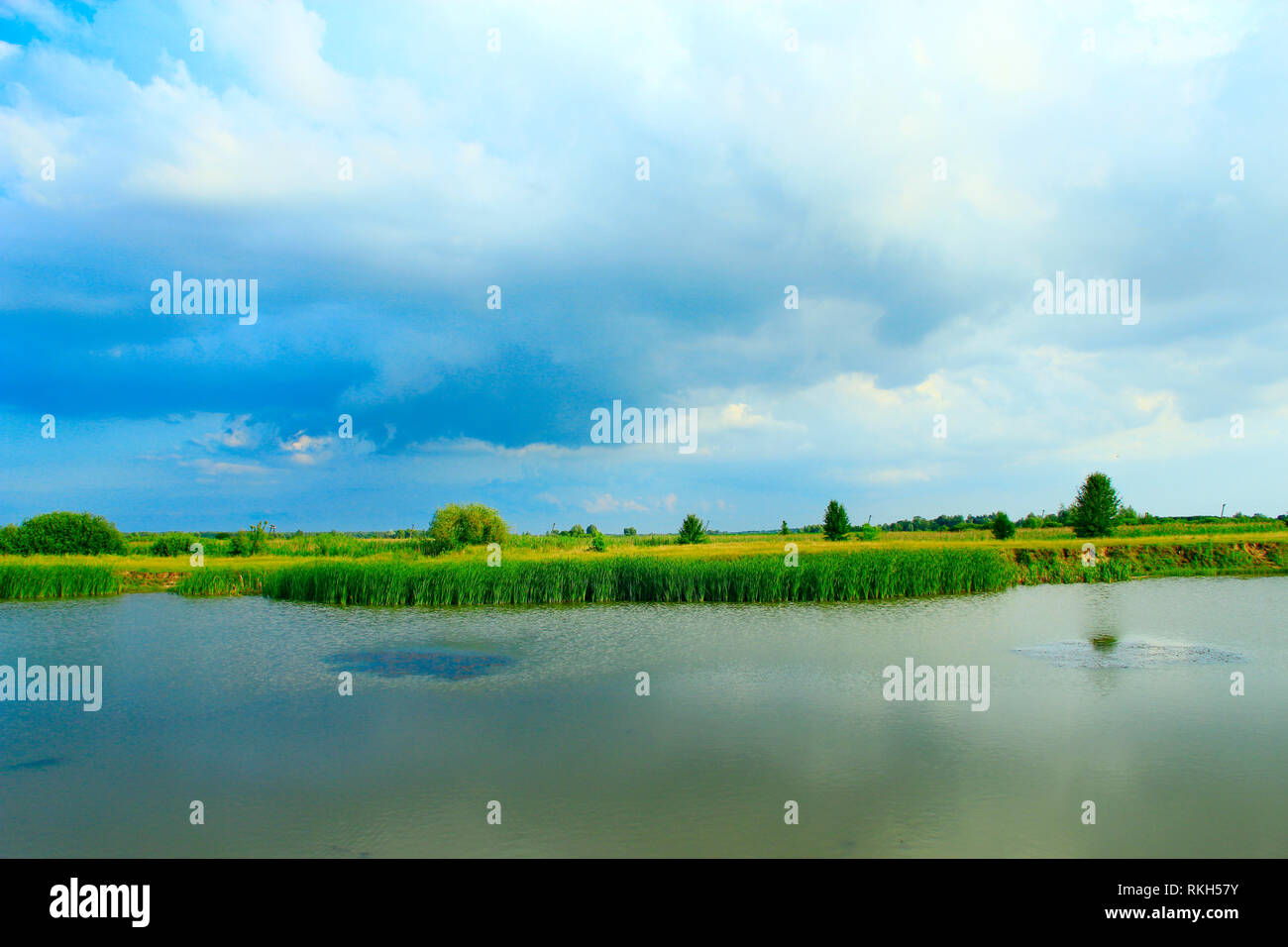 Paesaggio con lago circondato con la canna da zucchero. Il sottobosco di rush nel lago. Bellissimo paesaggio naturale con laghetto e nuvole Foto Stock