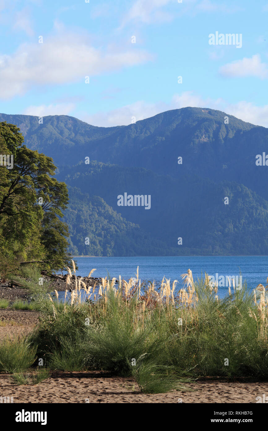 Il Cile, Lake District, Petrohue, Lago Todos Los Santos, Foto Stock