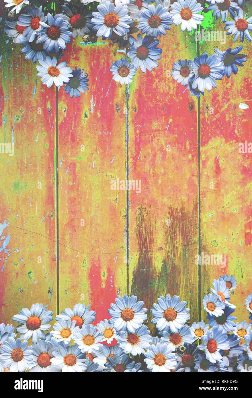 Giallo Rosso Colorato Sfondo Vintage Con Fiori A Margherita In Shabby Distressed Grungy Texture Stile Hippie Foto Stock Alamy Il credito non è richiesto, ma il linking è molto apprezzato e consente agli autori delle immagini di ottenere visibilità. https www alamy it giallo rosso colorato sfondo vintage con fiori a margherita in shabby distressed grungy texture stile hippie image235796892 html