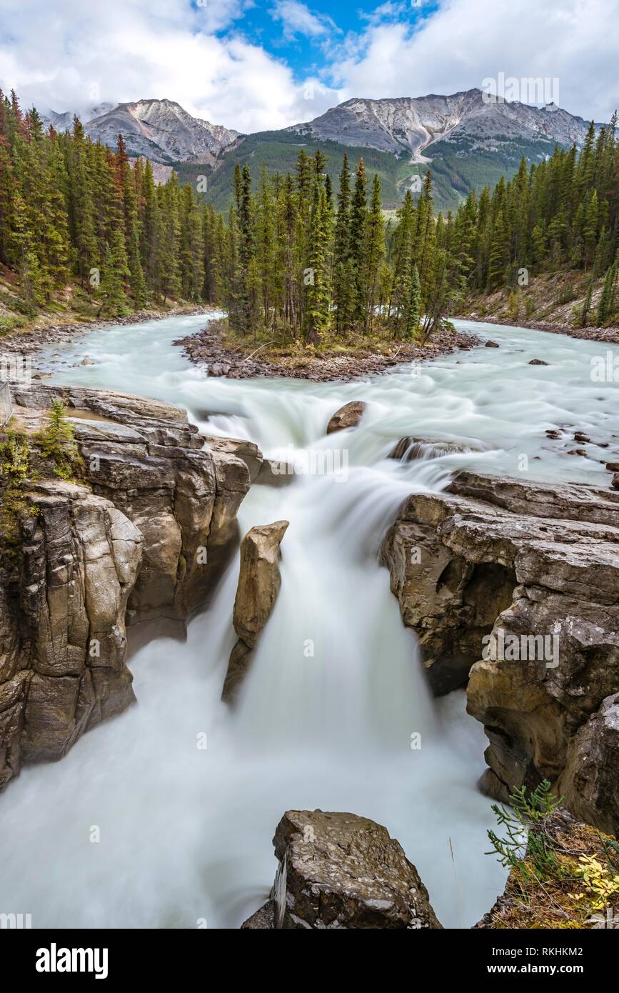 Cascata Sunwapta Falls, a Icefields Parkway, Sunwapta Fiume, Parco Nazionale di Jasper, montagne rocciose, Alberta, Canada Foto Stock