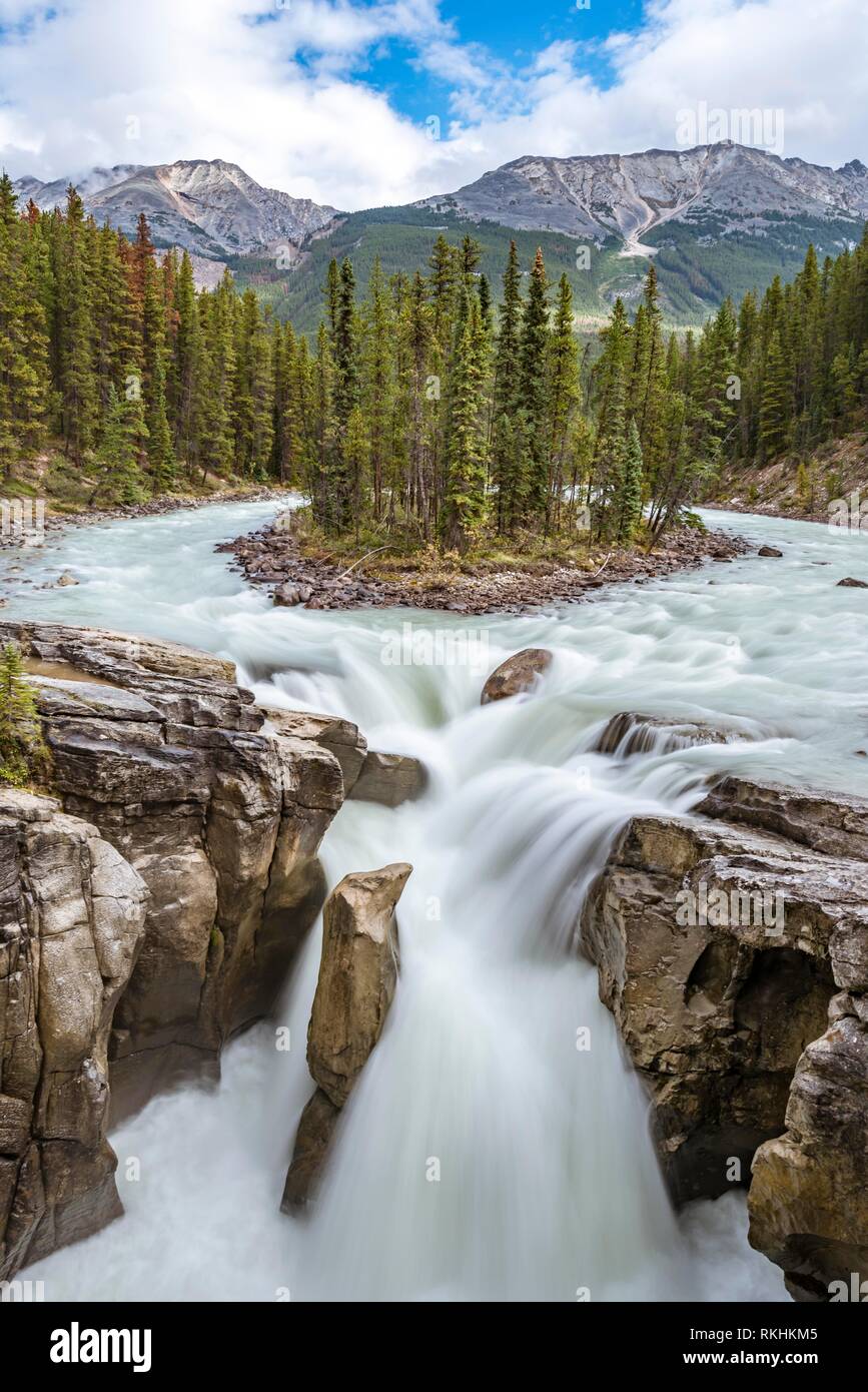 Cascata Sunwapta Falls, a Icefields Parkway, Sunwapta Fiume, Parco Nazionale di Jasper, montagne rocciose, Alberta, Canada Foto Stock