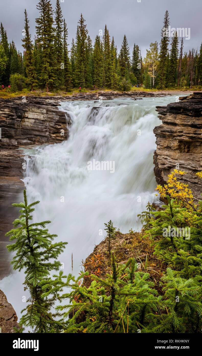 Cascata, Cascate Athabasca, Athabasca River, Icefields Parkway, il Parco Nazionale di Banff, Alberta, Canada Foto Stock