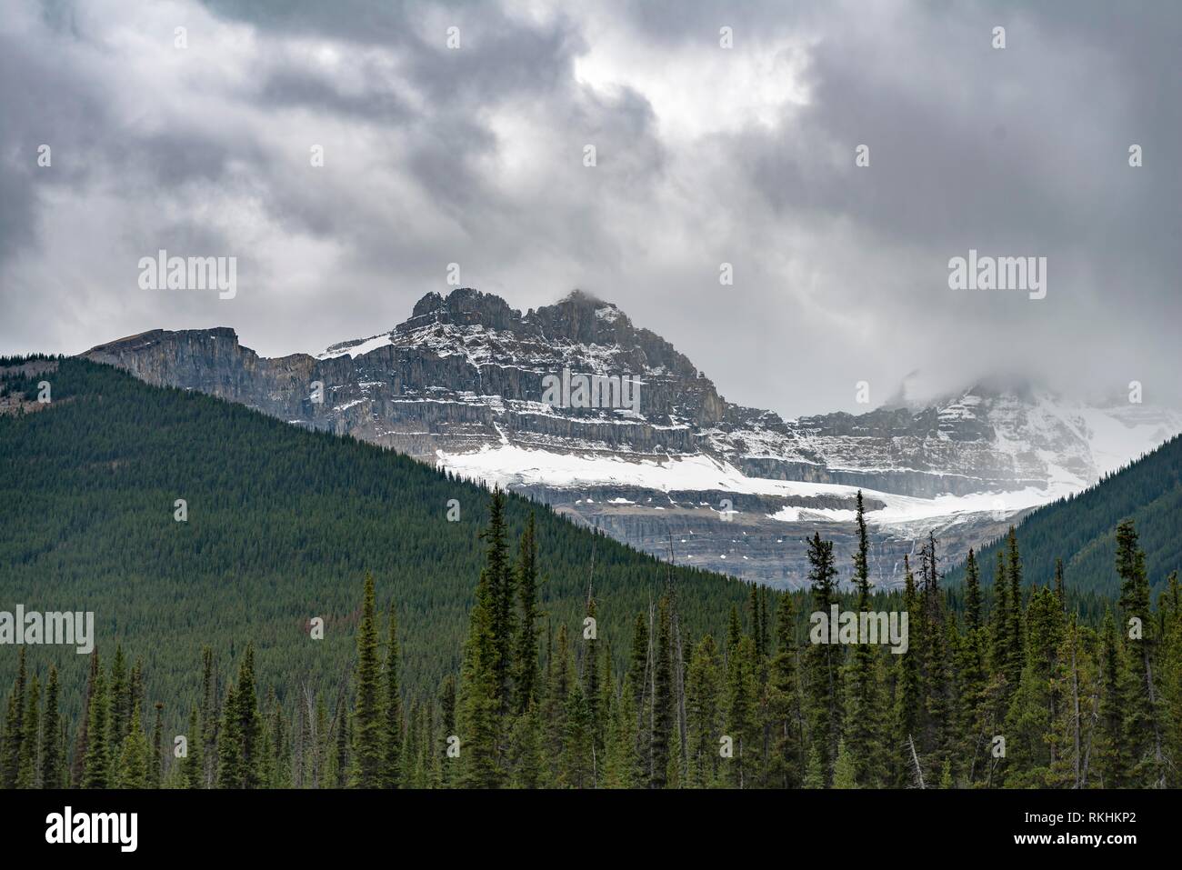 Montagne coperte di neve dietro la foresta, Icefields Parkway, Jasper National Park PARCO NAZIONALE, Canadian Rocky Mountains, Alberta Foto Stock
